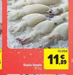 Carrefour Market Sepia limpia oferta