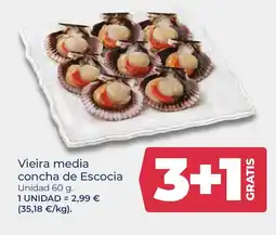 La Sirena Vieira media concha de Escocia oferta