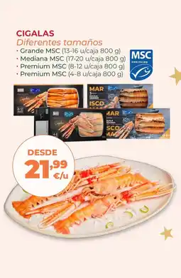 La Sirena Cigalas diferentes tamaños oferta