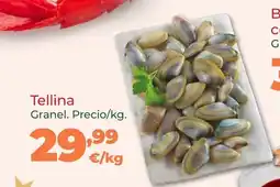 La Sirena Tellina oferta