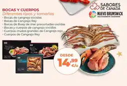 La Sirena Bocas y cuerpos diferentes tipos y tamaños oferta