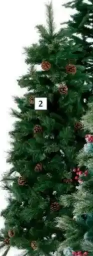 Bauhaus 'Norwich Pine' oferta