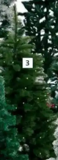 Bauhaus 'Bristlecone LED' oferta