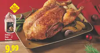 DELUXE Pato Barbarie