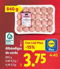 Lidl Albóndigas de cerdo oferta