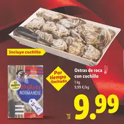 Lidl Ostras de roca con cuchillo oferta