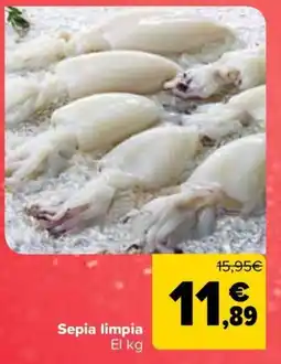 Carrefour Sepia limpia oferta