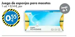 TEDi Juego de esponjas para macetas oferta