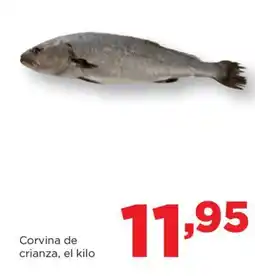 Alimerka Corvina de crianza oferta