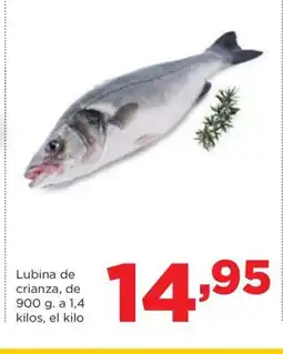 Alimerka Lubina de crianza oferta