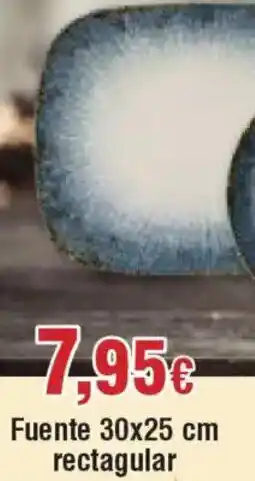 Hiper FROIZ Fuente 30x25 cm rectagular oferta