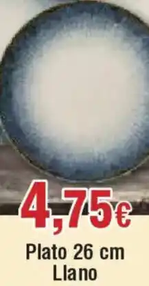 Hiper FROIZ Plato 26 cm Llano oferta