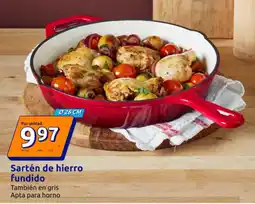 Action Sartén de hierro fundido oferta