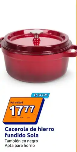 Action Cacerola de hierro fundido Sola oferta