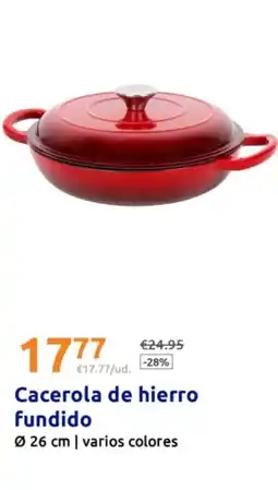 Action Cacerola de hierro fundido oferta