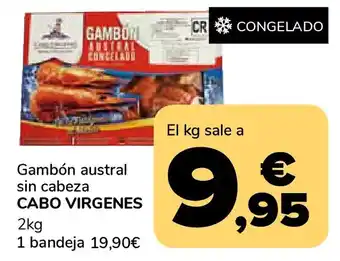 CABO VIRGENES Gambón austral sin cabeza