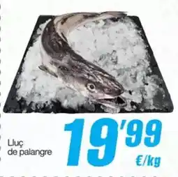 SPAR Fragadis Lluç de palangre oferta
