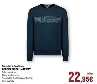 Sudadera gantoine