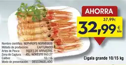 FROIZ Cigala grande 10/15 oferta