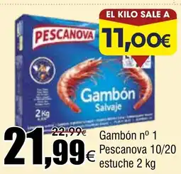 FROIZ PESCANOVA Gambón nº 1 10/20 estuche oferta
