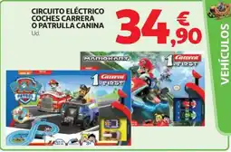 Alcampo Circuito eléctrico coches carrera o patrulla canina oferta