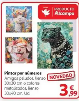 Alcampo Pintar por números oferta