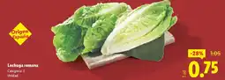 Lidl Lechuga romana oferta