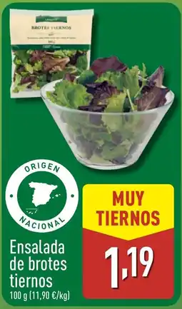 ALDI Ensalada de brotes tiernos oferta