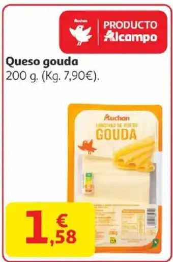 Queso gouda