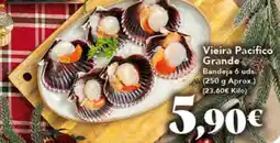 Gadis Vieira Pacífico Grande oferta