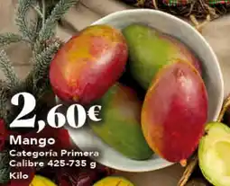 Gadis Mango oferta