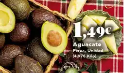 Gadis Aguacate oferta