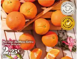 Gadis Naranja de Mesa Extra oferta
