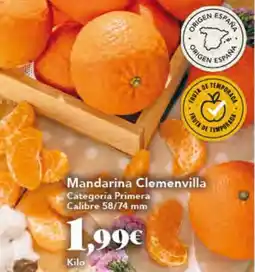 Gadis Mandarina Clemenvilla oferta