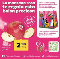 Autoservicios Familia PINK LADY Manzana granel oferta