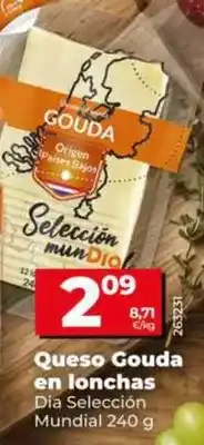 Dia seleccion mundial - queso gouda en lonchas
