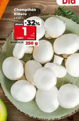 Dia Champiñon entero bandeja 250g oferta