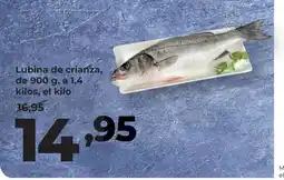 Alimerka Lubina de crianza oferta