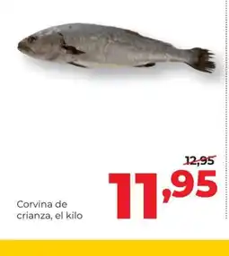 Alimerka Corvina de crianza oferta