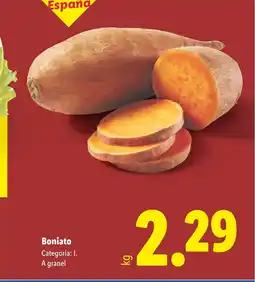 Lidl Boniato oferta