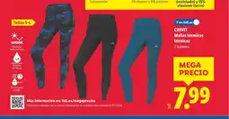 Lidl CRIVIT Mallas térmicas técnicas oferta