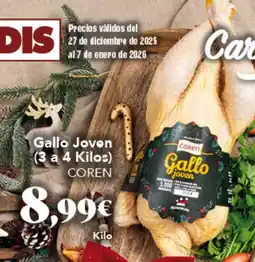 Gadis COREN Gallo Joven oferta