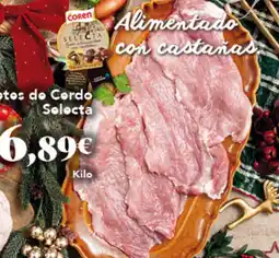 Gadis COREN Filotos do Cordo Selecta oferta