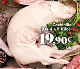 Gadis Cochinillo oferta
