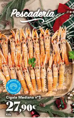 Gadis Cigala Modiana n°3 oferta