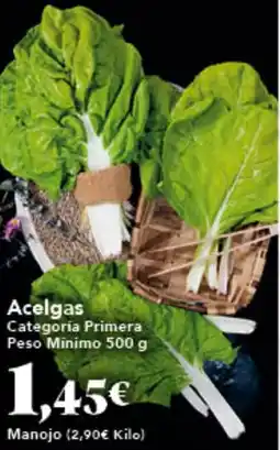 Gadis Acelgas oferta