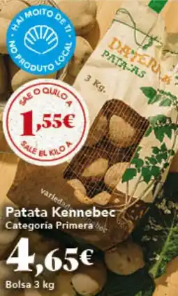 Gadis Patata Kennebec oferta