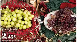 Gadis Uva sin Semilla Rocada o Blanca oferta