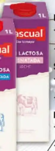 Gadis PASCUAL Leche sin Lactosa Desnatada oferta