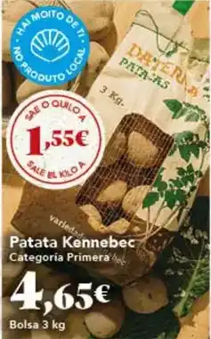 Gadis Patata kenebec oferta